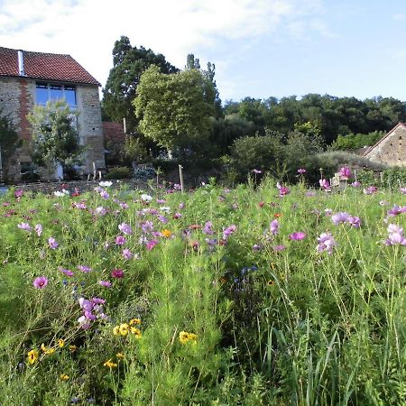 Vineyard Garden Studio Mont-Saint-Jean  Exterior foto